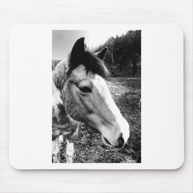 Mousepad Cavalo (Frente)