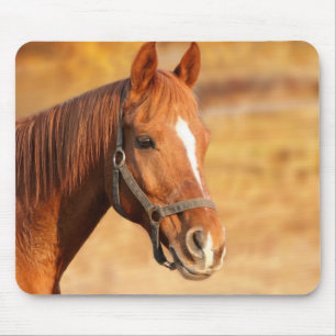Mousepad Cavalo