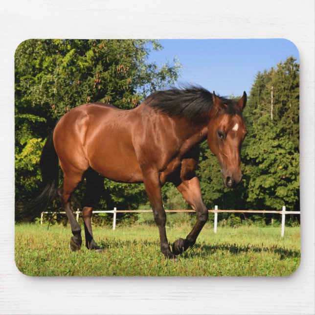 Mousepad Cavalo (Frente)