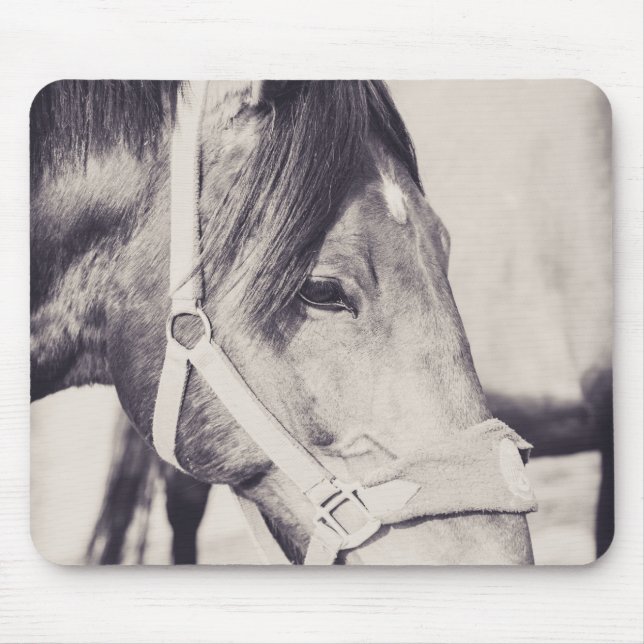 Mousepad Cavalo 009 (Frente)