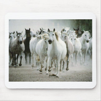 Mousepad Cavalo (1)