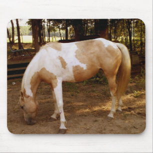 Mousepad Cavalo 3, Pad do Mouse