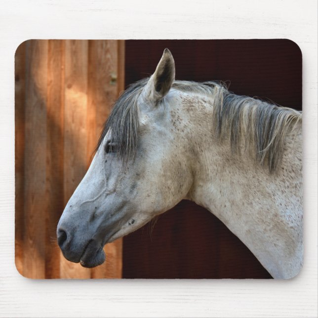 Mousepad Cavalo Árabe Branco (Frente)