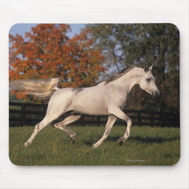 Mousepad Cavalo árabe: Outono 2 (Frente)