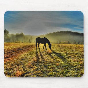 Mousepad Cavalo arrasando ao nascer do sol em Misty Field P
