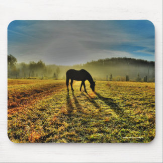 Mousepad Cavalo arrasando ao nascer do sol em Misty Field P