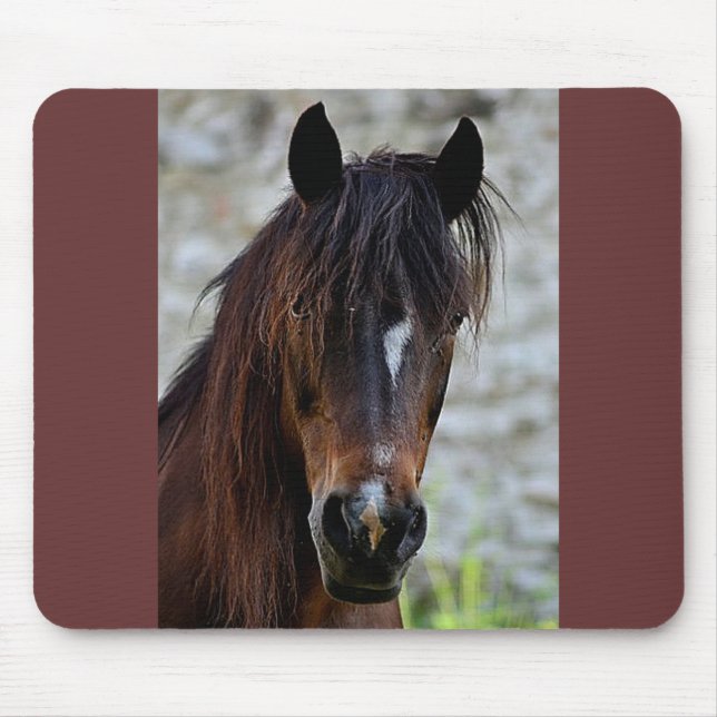 Mousepad Cavalo bonito de Brown (Frente)