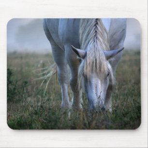 Mousepad Cavalo branco