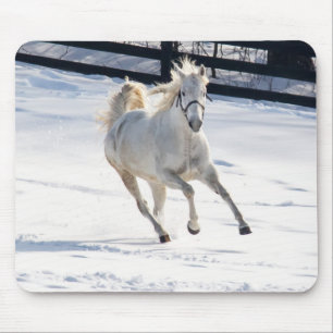 Mousepad Cavalo Branco Correndo Em Neve