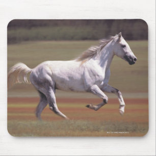 Mousepad Cavalo branco correndo no campo