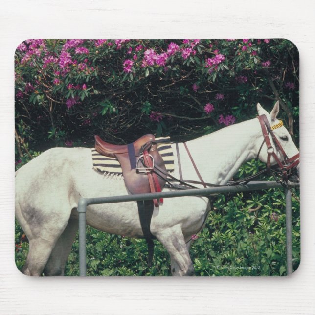 Mousepad Cavalo Branco em um Jardim (Frente)