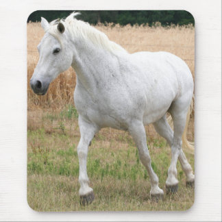 Mousepad Cavalo branco salpicado