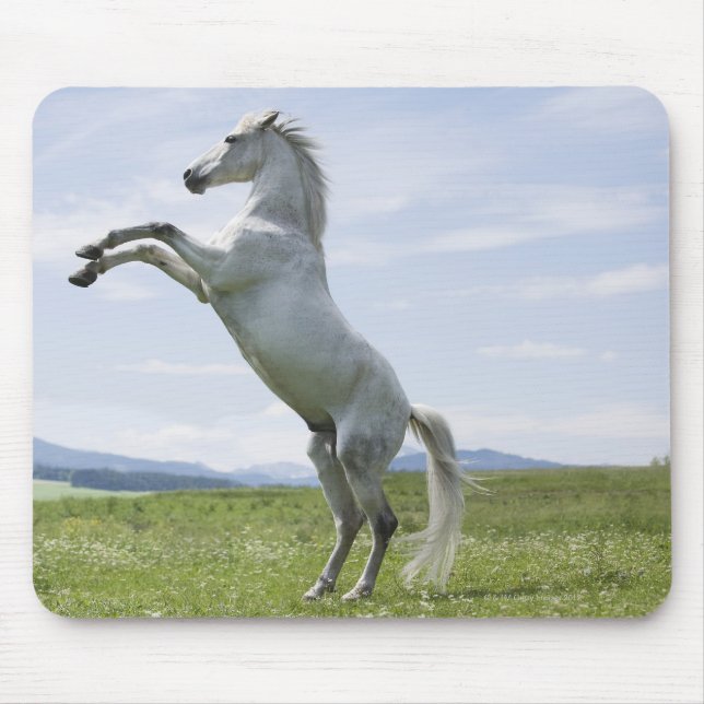 Mousepad cavalo branco saltando no campo (Frente)