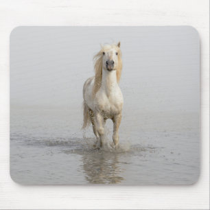 Mousepad Cavalo Camargue Correndo na Água