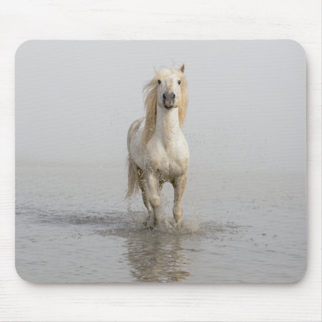 Mousepad Cavalo Camargue Correndo na Água (Frente)