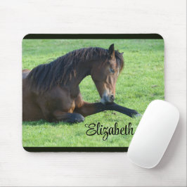Mousepad Cavalo castanho bonito a vaiar na grama