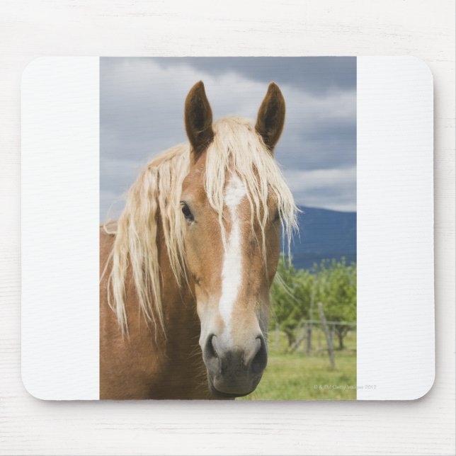 Mousepad Cavalo castanho claro (Frente)