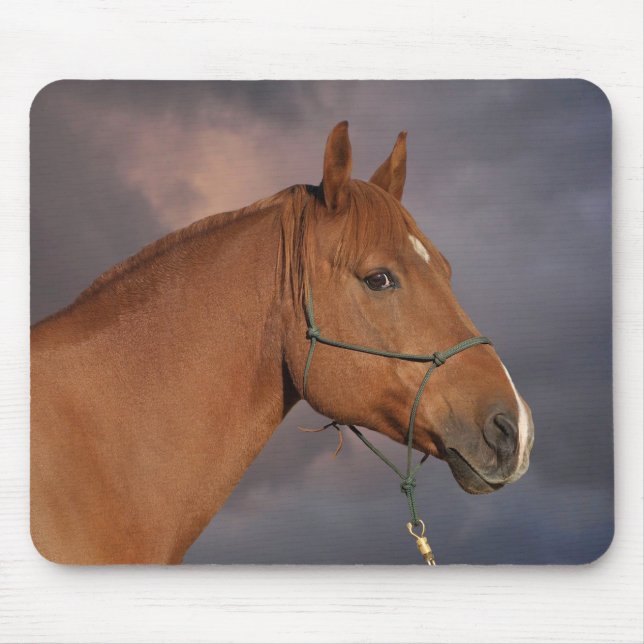 Mousepad Cavalo castanho-do-castanho-ocidental (Frente)
