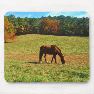 Mousepad Cavalo Castanho Vermelho nas árvores do outono