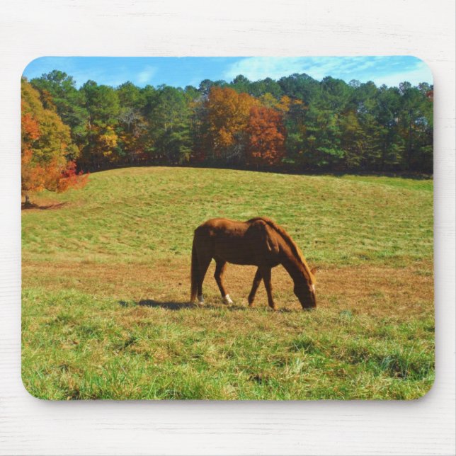 Mousepad Cavalo Castanho Vermelho nas árvores do outono (Frente)