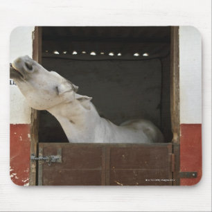 Mousepad Cavalo cinzento em um estábulo