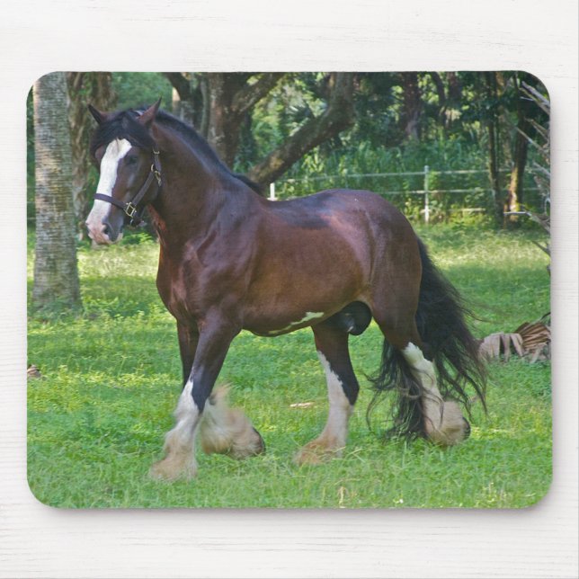 Mousepad Cavalo Clydesdale (Frente)