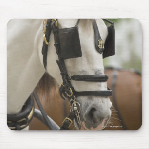 Mousepad Cavalo com antolhos