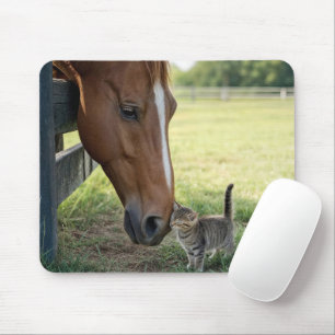Mousepad Cavalo com gatinho em uma pastagem de fazenda