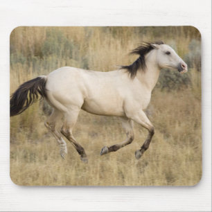Mousepad Cavalo Correndo Pela Grama Prairie