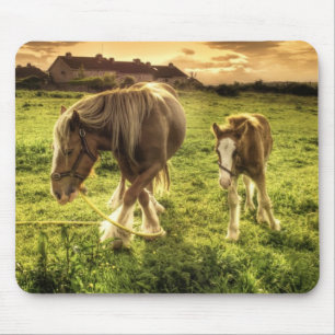 Mousepad Cavalo da mãe & do potro