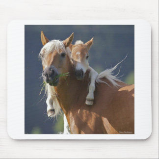 Mousepad Cavalo da mãe e do bebê