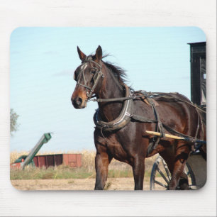 Mousepad Cavalo de Amish Rural e Buggy