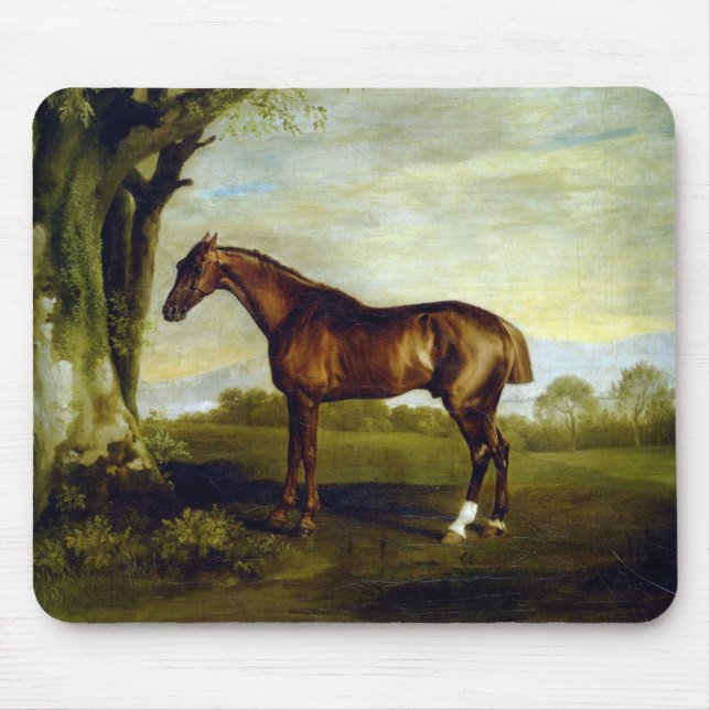 Mousepad Cavalo de Arroz de Castanha em Paisagem (George St (Frente)