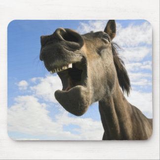 Mousepad Cavalo de bocejo