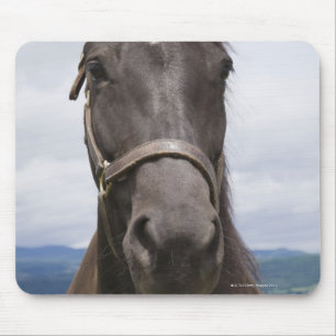 Mousepad Cavalo de Brown escuro