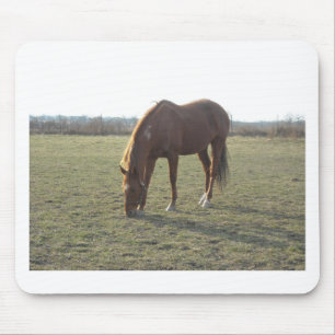 Mousepad Cavalo de Cor do Castanheiro