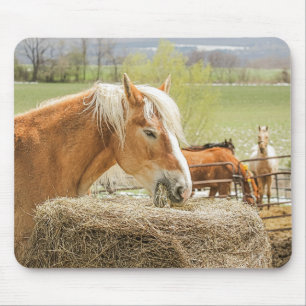 Mousepad Cavalo de Fazenda Mastigando Feno