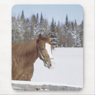 Mousepad Cavalo de inverno