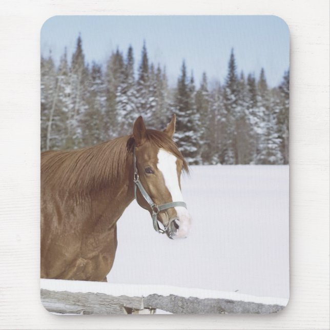 Mousepad Cavalo de inverno (Frente)