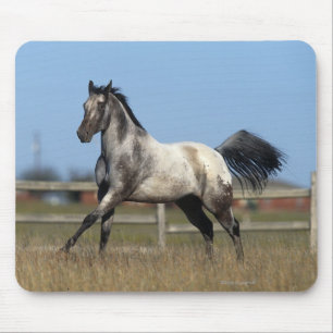 Mousepad Cavalo do Appaloosa que funciona 3