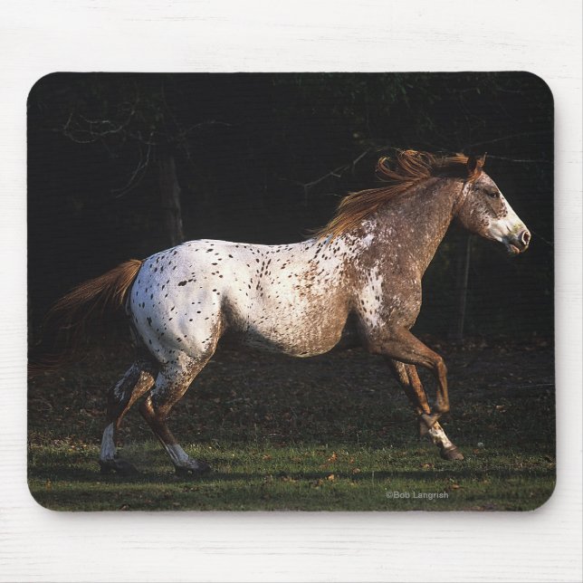 Mousepad Cavalo do Appaloosa que funciona 4 (Frente)