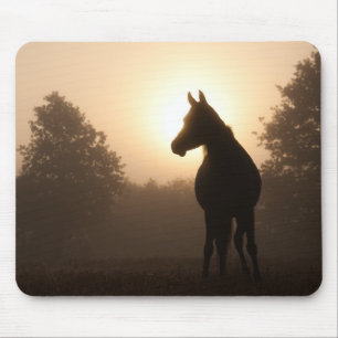 Mousepad Cavalo do Sol