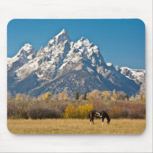 Mousepad Cavalo e Grand Tetons, Ranhura da Cabeça de Moose