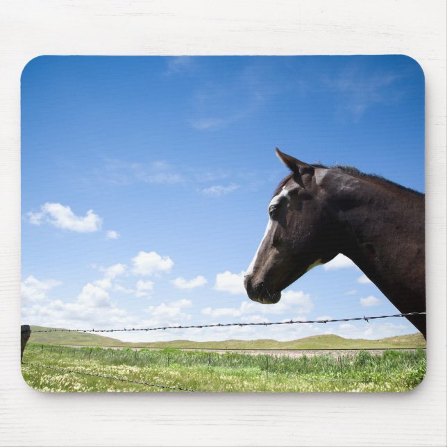 Mousepad Cavalo em pé na cerca em pasto (Frente)