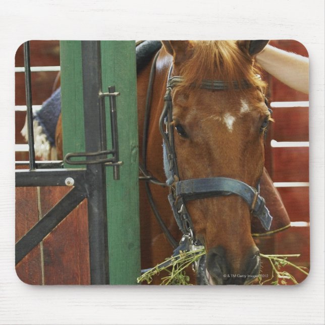 Mousepad Cavalo em pé num estábulo (Frente)