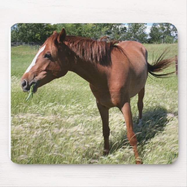 Mousepad Cavalo feliz (Frente)