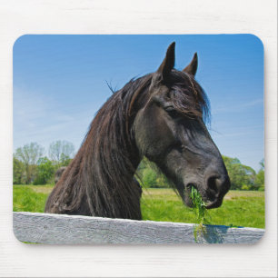 Mousepad Cavalo Friésio Preto
