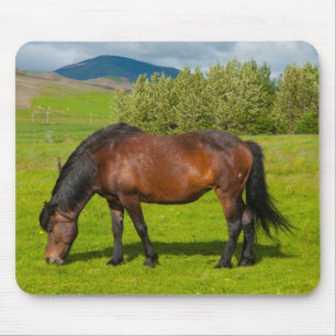 Mousepad Cavalo Islandês Mossfellsbaer