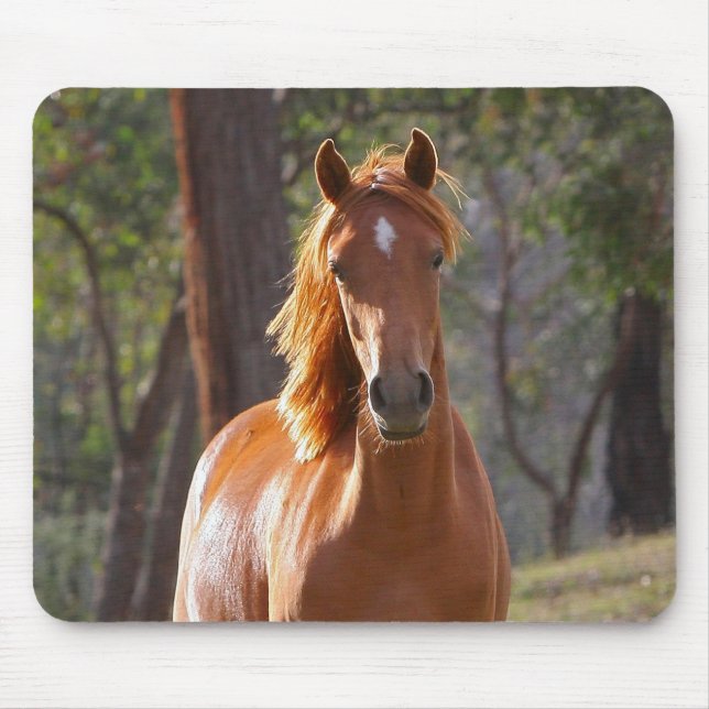 Mousepad Cavalo marrom à luz do sol (Frente)