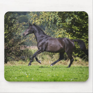 Mousepad cavalo marrom que funciona no prado